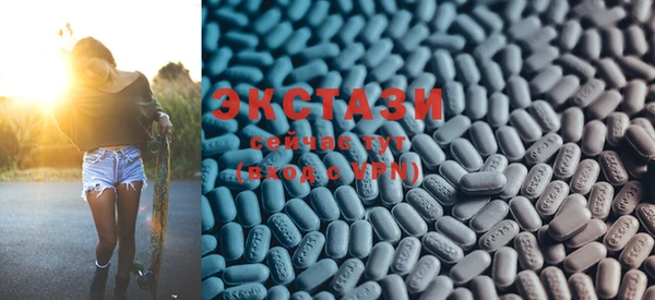 ECSTASY Богородицк